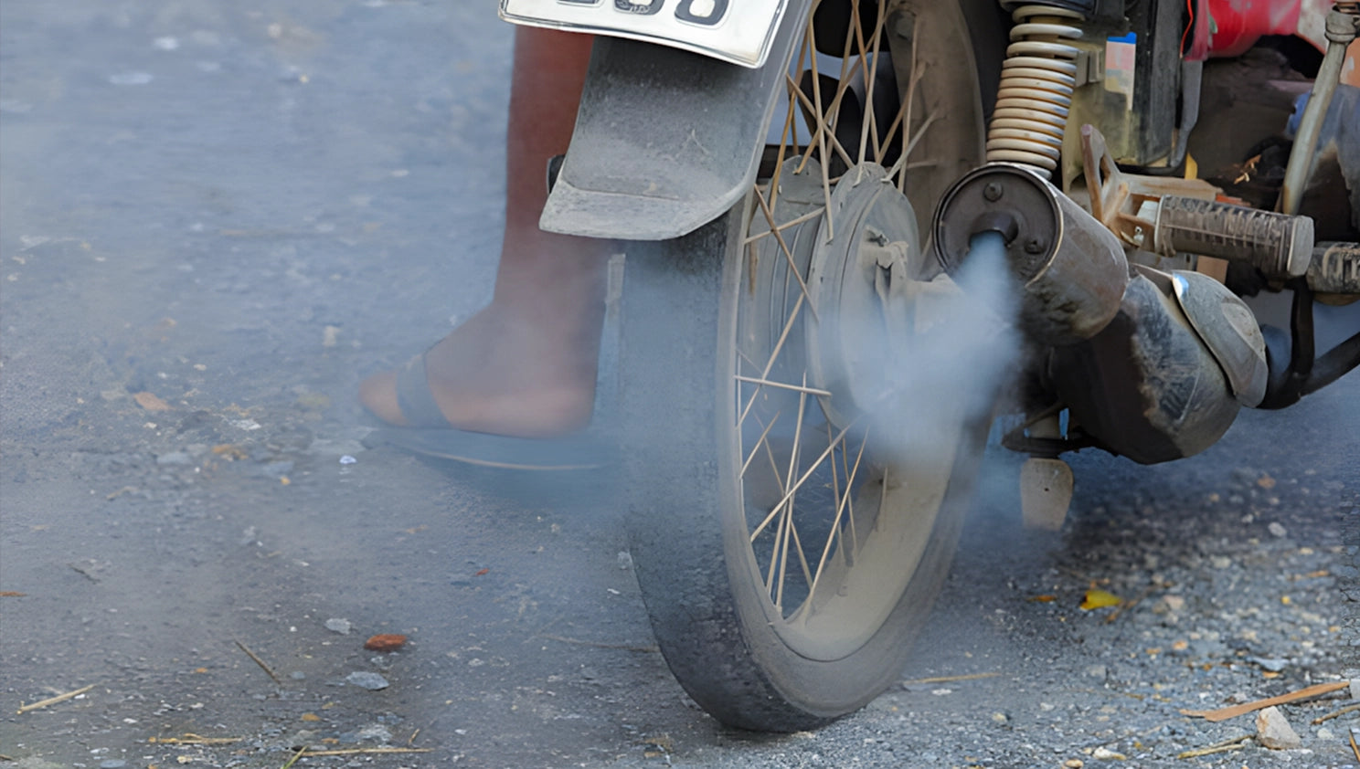 5_High-Carbon_Footprint_Undermines_Green_Retail