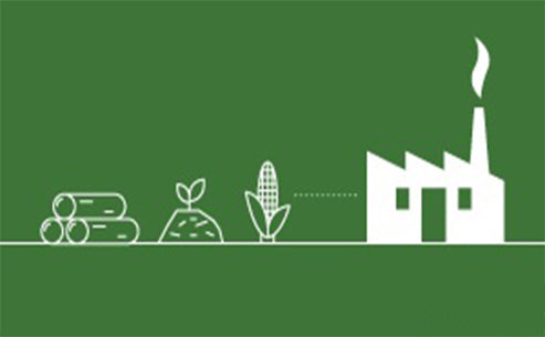 Biomass Energy Utilization and Development Technology in China