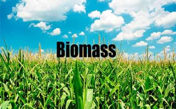 Characteristics and conversion methods of biomass energy