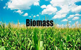 Characteristics and conversion methods of biomass energy