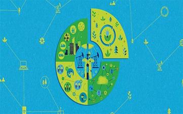 China's biomass energy reserves and development prospects