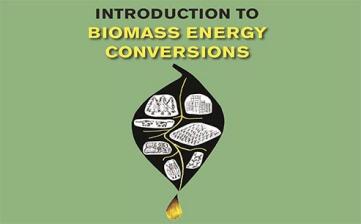 Energy Conversion-Overview of Biomass Energy