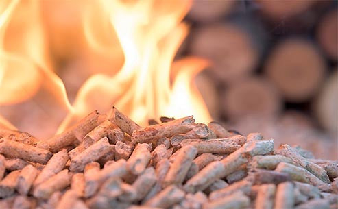 How do countries in the world use biomass energy