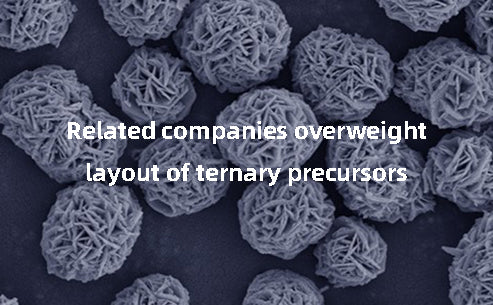 Related companies overweight layout of ternary precursors