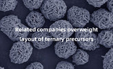 Related companies overweight layout of ternary precursors