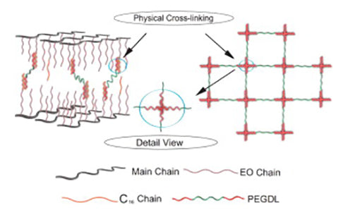 What are the roles of plasticizers in gel polymers?