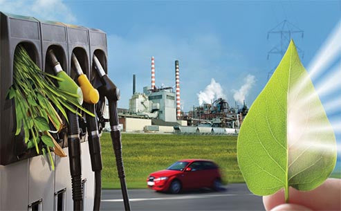 Three Utilization Forms of Biomass Fuel