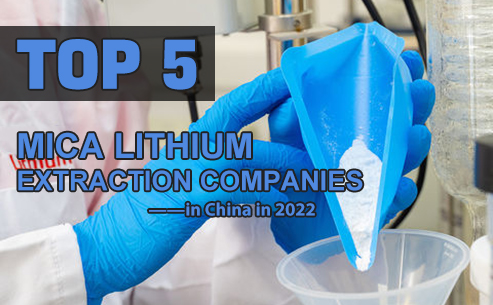 Top 5 mica lithium extraction companies in China in 2022