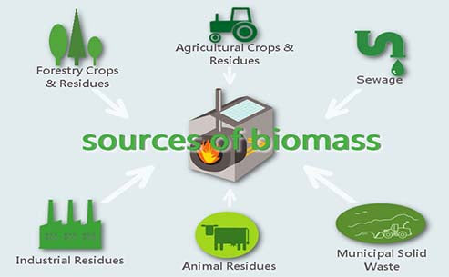 What is biomass energy