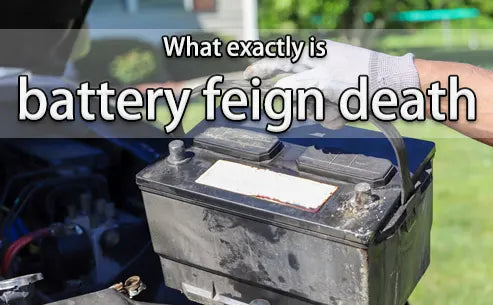  What exactly is battery feign death