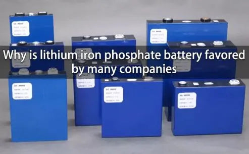Why is lithium iron phosphate battery favored by companies