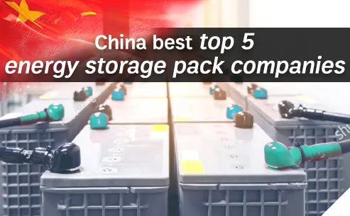 top 5 energy storage pack companies