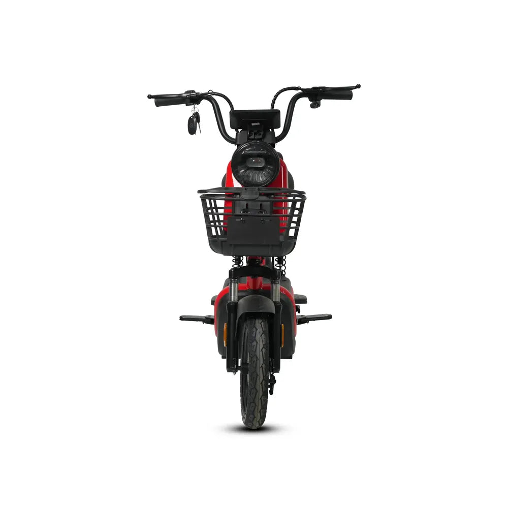 Custom KX 500W Electric Scooter