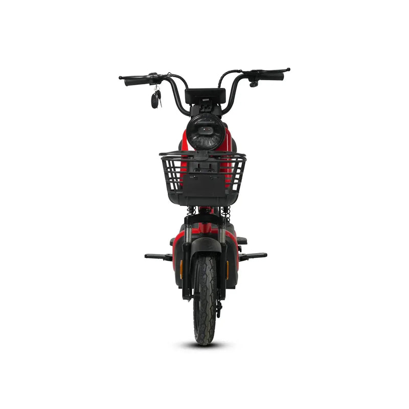 Custom KX 500W Electric Scooter