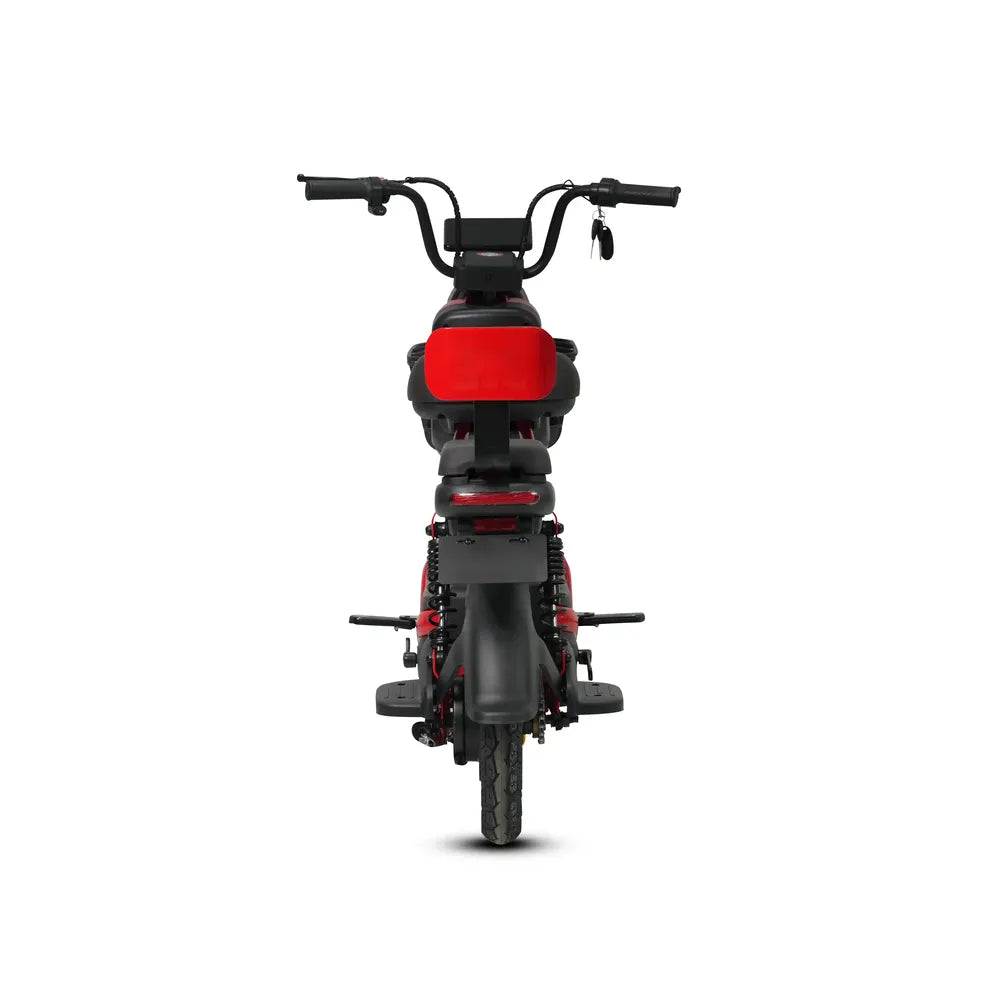 Custom KX 500W Electric Scooter 2