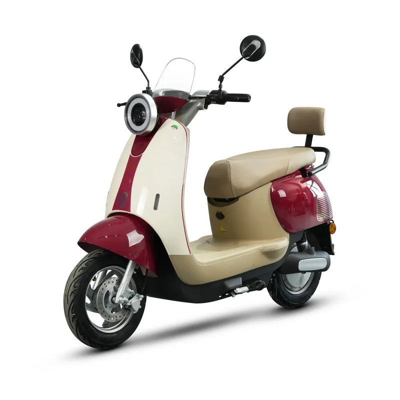 Custom Q7 800W Electric Scooter 9