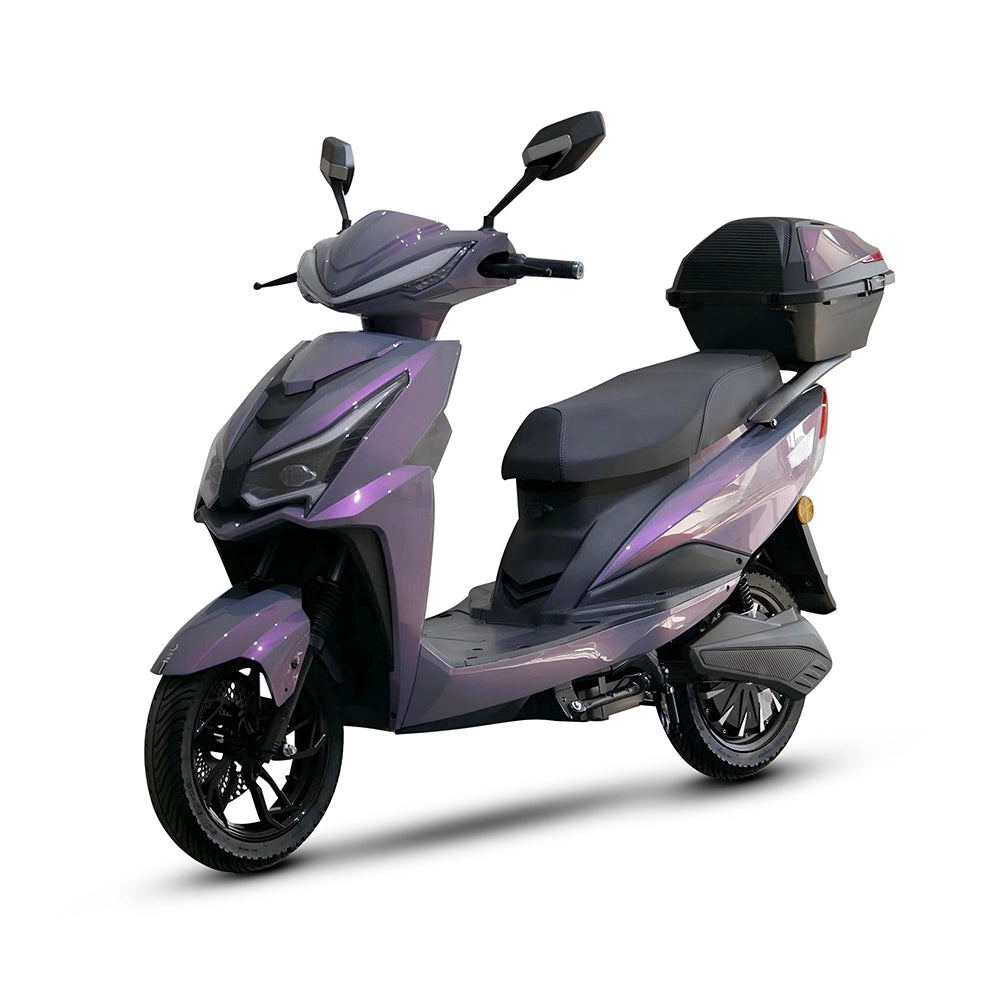 Custom ZL-9 1500W Electric Scooter 9