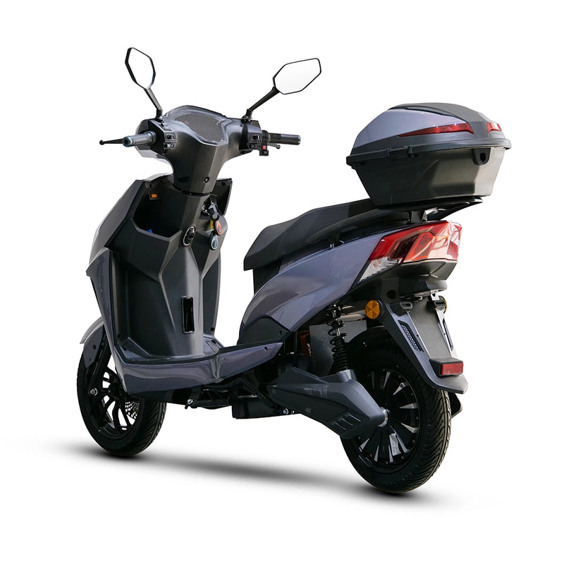 Custom ZL-9 1500W Electric Scooter 3