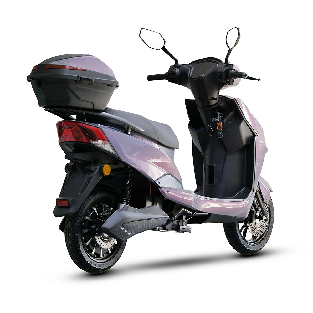 Custom ZL-9 1500W Electric Scooter 5