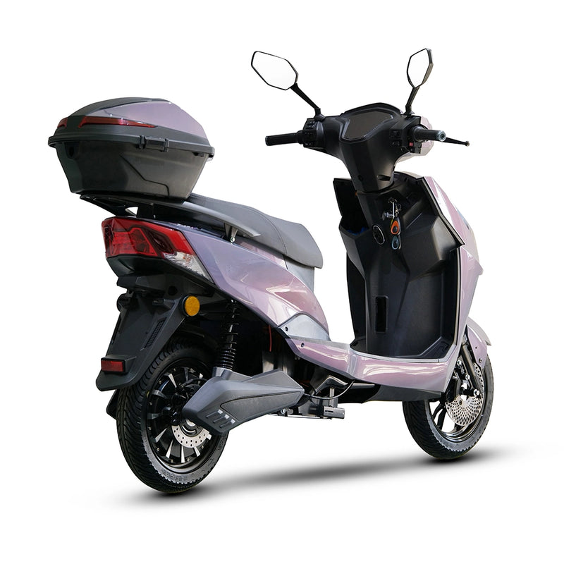 Custom ZL-9 1500W Electric Scooter 5