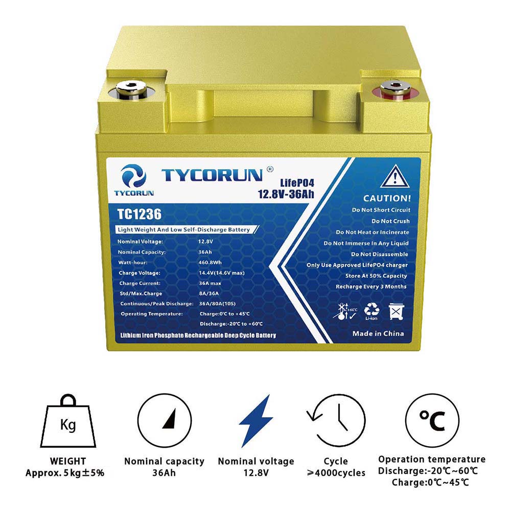 platform Sund mad Drastisk 12 Volt 36Ah Lithium Deep Cycle Battery-Tycorun Batteries
