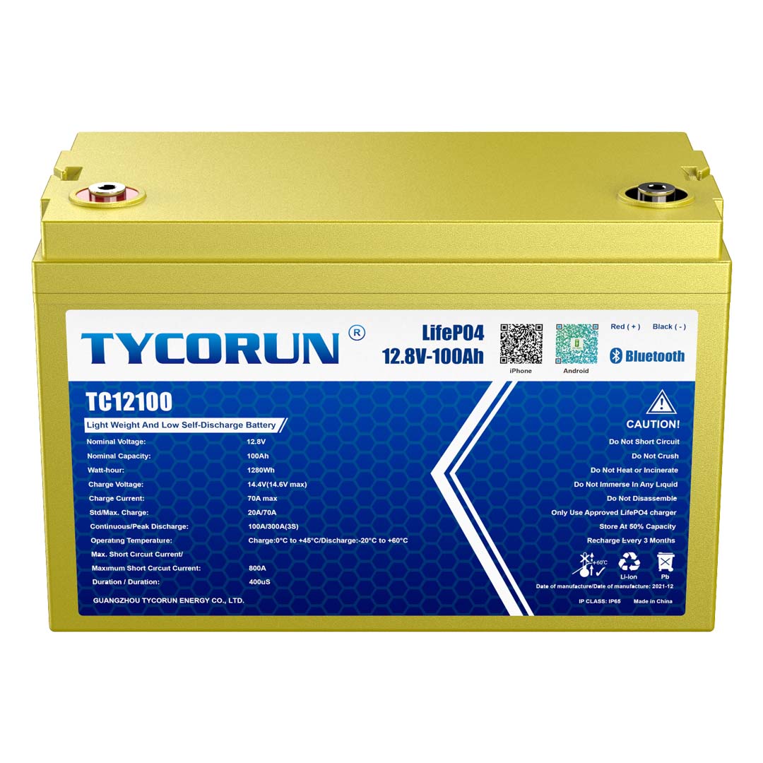 Custom Energy Storage Lithium Battery 12V 100Ah Lithium Battery