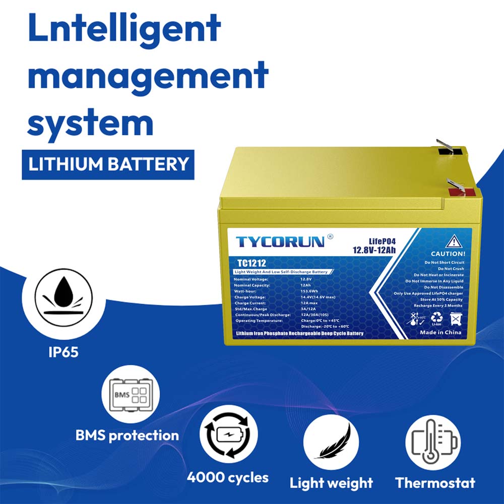 12 Volt 12Ah Lithium Deep Cycle Battery-Tycorun Batteries