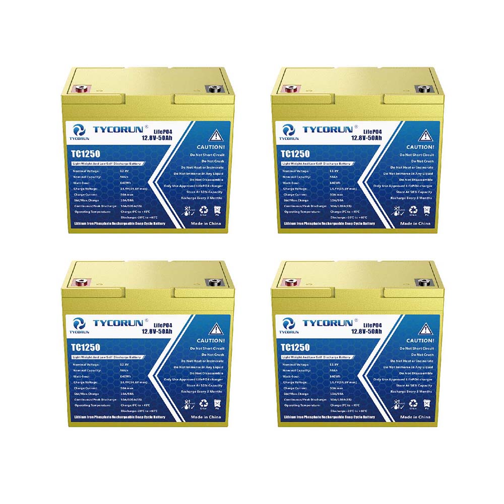 48v50ah lithium battery