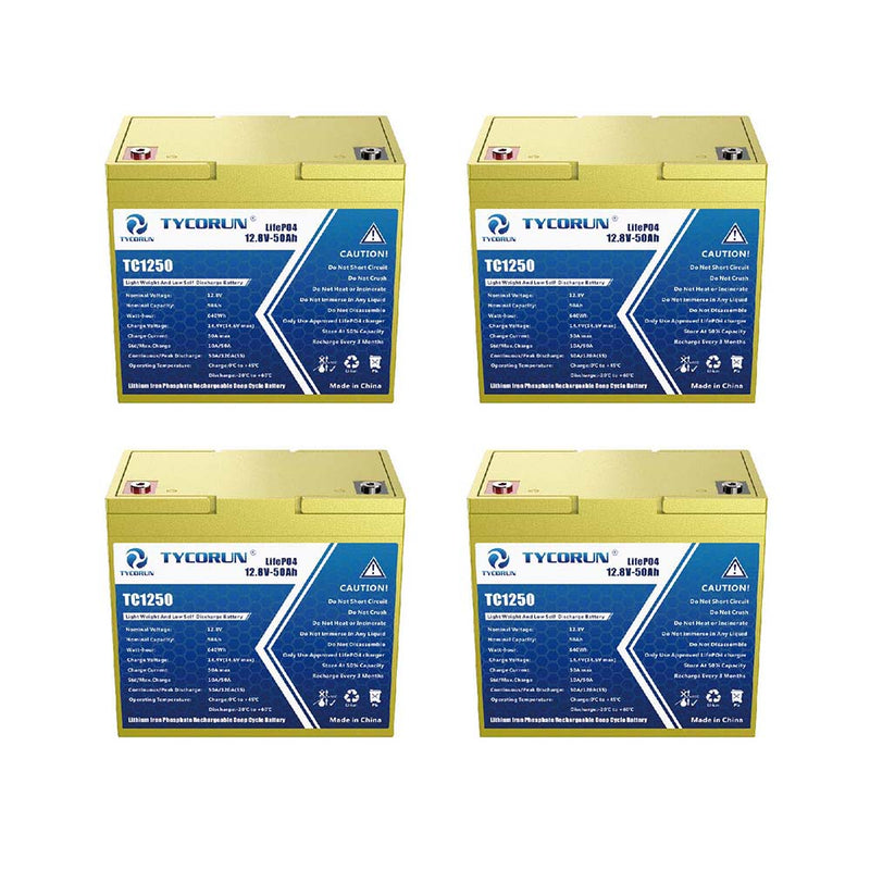 48v50ah lithium battery