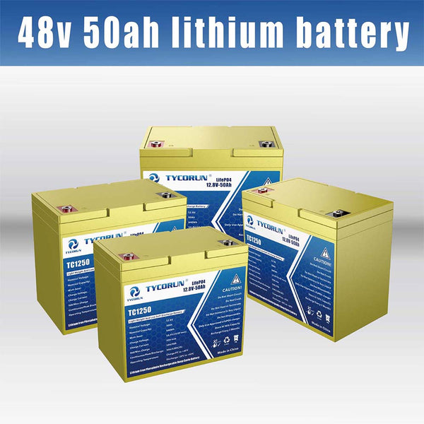 48v50ah lithium battery